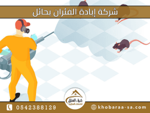 شركة إبادة الفئران بحائل