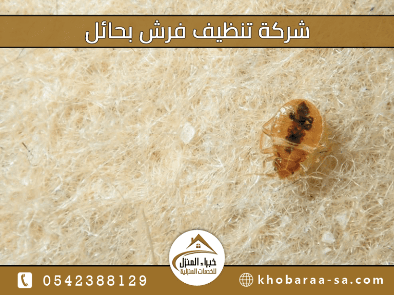 شركة تنظيف فرش بحائل