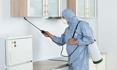 شركة مكافحة حشرات بحائل