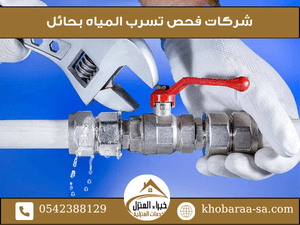 شركات فحص تسرب المياه بحائل